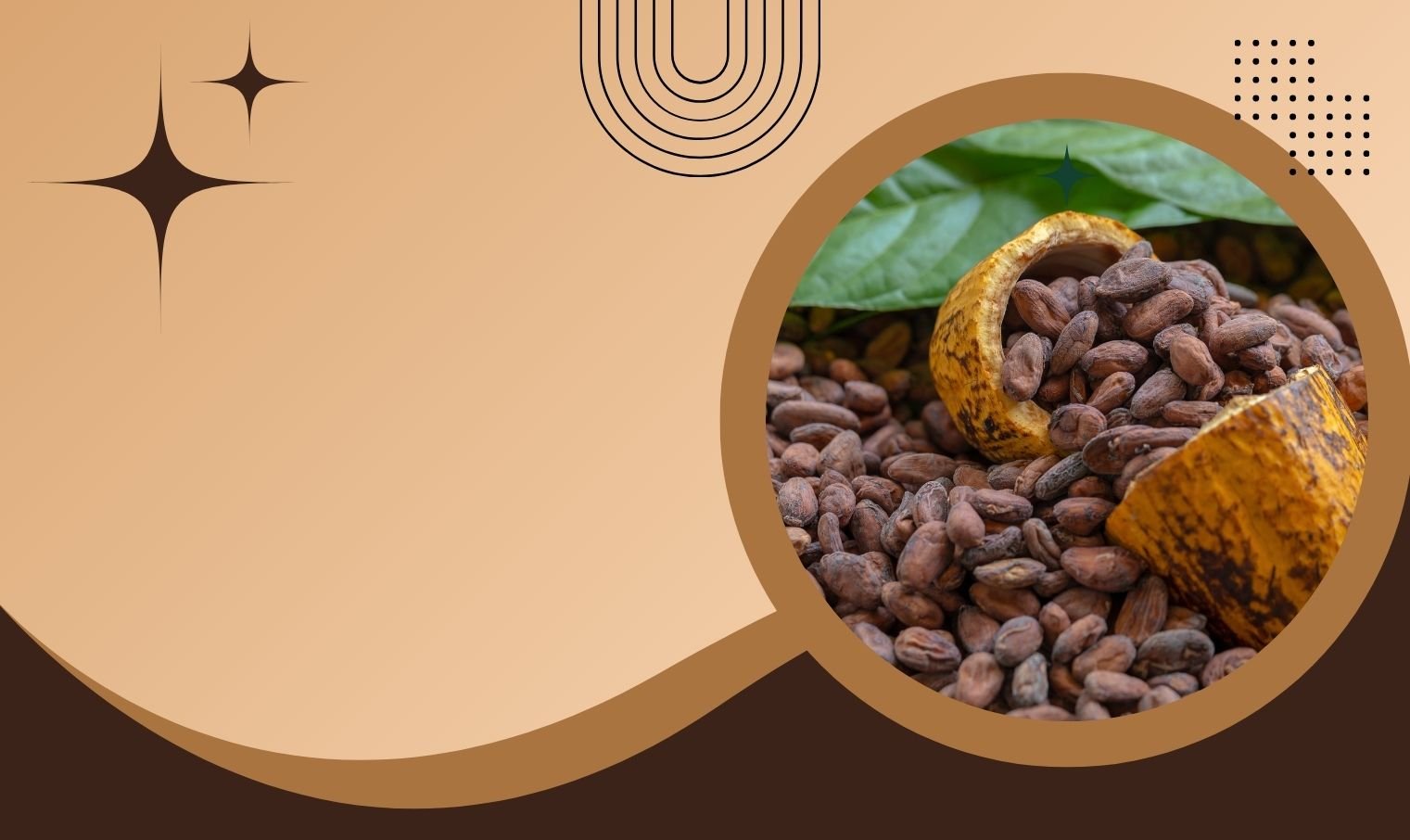 Cocoa Beans Export