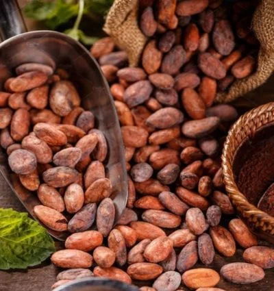 Vanuatu Cocoa and Kava